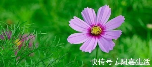 出息|孩子出生在几点钟，孝心十足，日后必定是有用之才，光宗耀祖