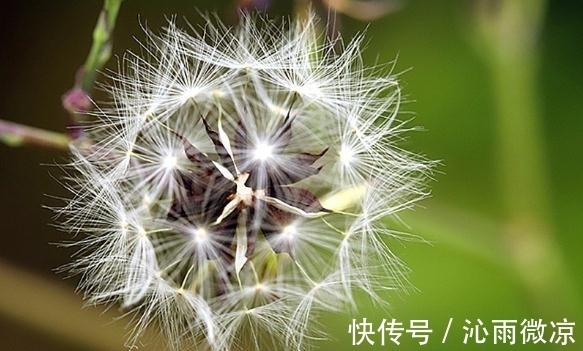 白羊|在11月，痴心未改，独自缠绵，四大星座与旧爱重修旧好，余生幸福