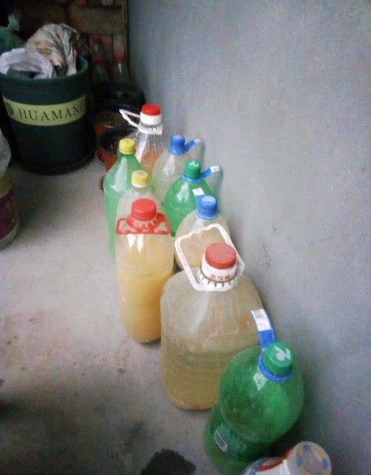 发酵淘米水臭气熏天,加2种东西,气味清香,肥效棒!