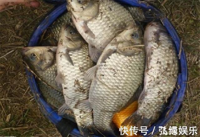 为了钓鱼真的不容易,要再遇到这些事就更糟心了,你们遇到过吗