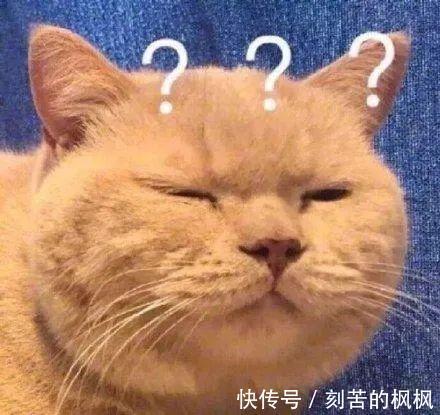 百帕|寒潮到!为何这儿下雪那儿却下雨|手绘漫画