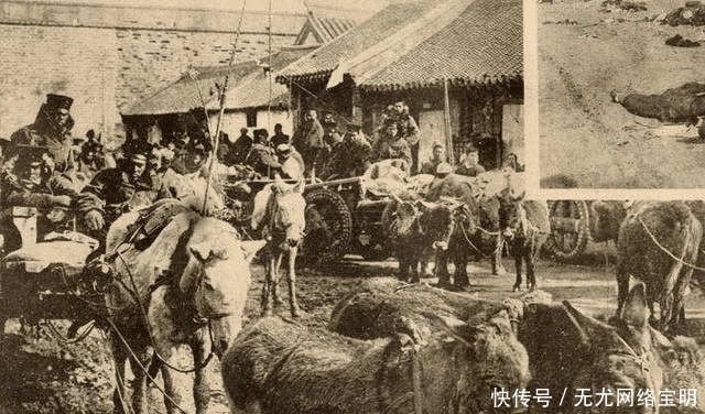 满地|1894年甲午战场旧照,满地清军尸体。