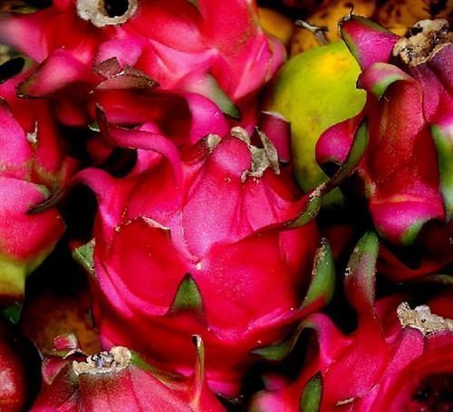 火龙果|聪明人爱吃3种食物,滋润皮肤,补铁补血,好吃又健康!