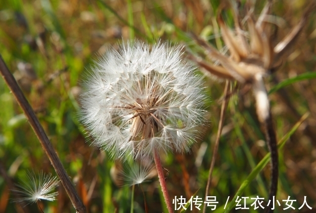 天秤座|12月，桃花花运开得灿烂，感情一路顺利的星座