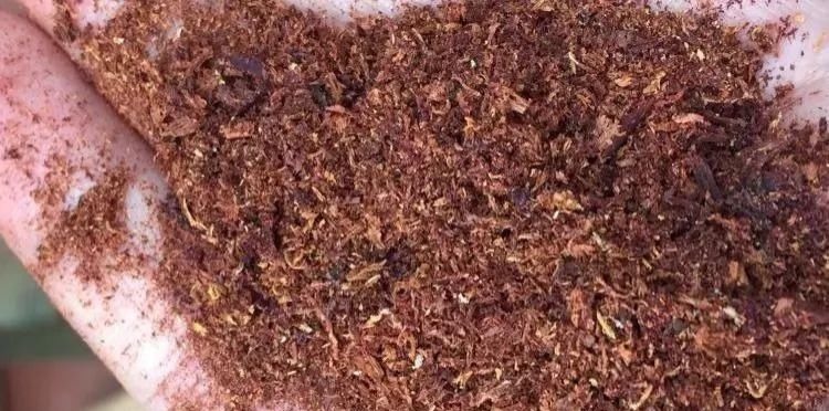 小叶紫檀|通过这几个标准,判断什么样的木头才是好木头