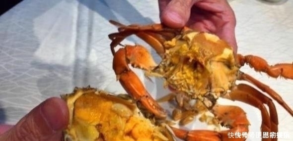 种螃蟹|它被誉为“蟹中之王”,比大闸蟹鲜,比帝王蟹贵,却没有几人知道