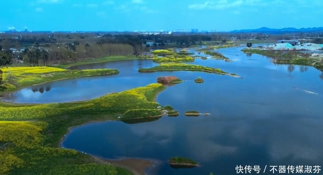 离成都不远，油菜花开满河两岸，千岛花海！