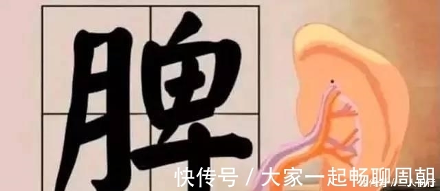 山药|脾虚的人毛病多一个中医食疗方,专治脾胃虚弱,还能增强免疫力