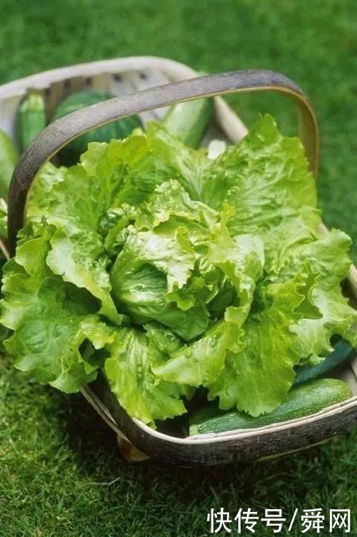 胡萝卜素|儿童所需蔬菜排行榜，价格便宜，富含营养和维生素，孩子常吃聪明长得高