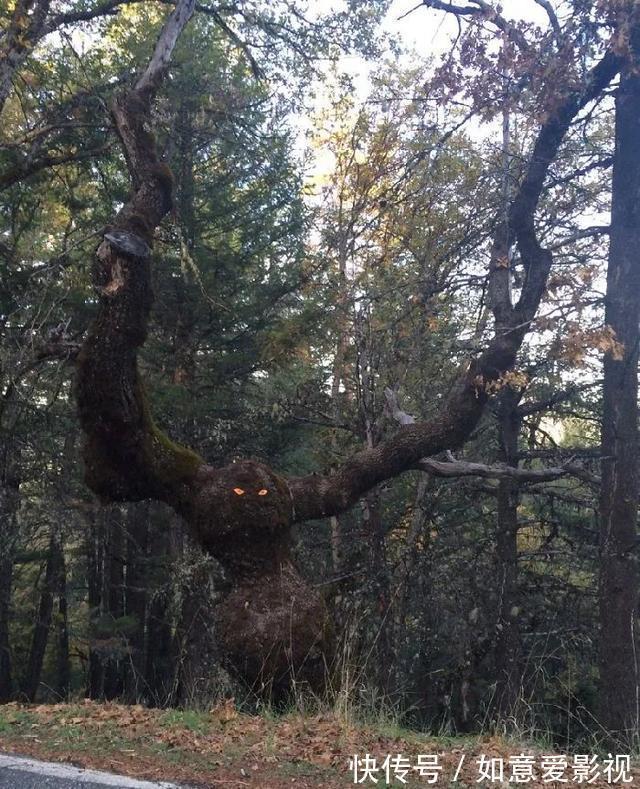 |22个搞笑创意，让你不由地感叹，这些人真无聊，不过我喜欢？