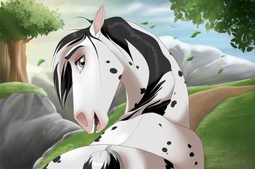 动物图腾：斑马，探索与回归，知晓一切的勇气