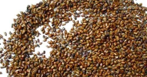 玉米|肚子大得像“怀孕”，每天吃点它，刮油减脂，让你悄悄瘦下去