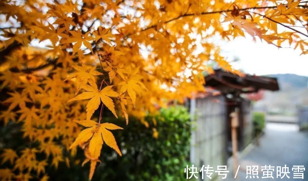 秋思@古今10首写秋名作,首首经典,哪一首是你心中的第一