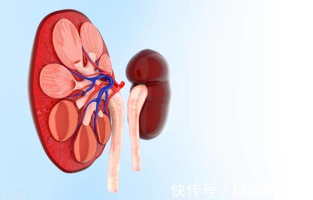 血钾|吃沙坦类降压药,能减少蛋白尿护肾?还是升高血钾伤肾?本文说清