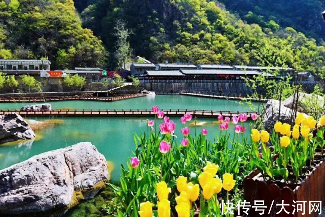 免票|河南多家景区免门票，最长免至5月31日