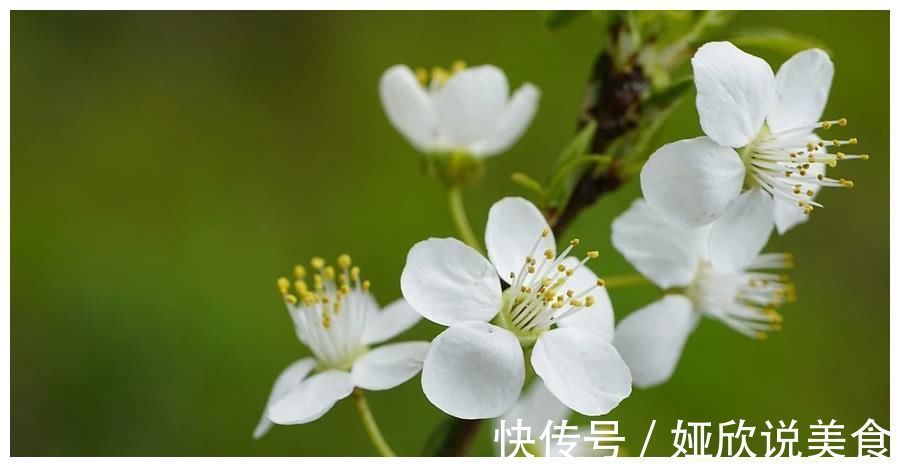 女生|12星座最欣赏的女生类型，只要跟对方待在一起，就很容易感到快乐