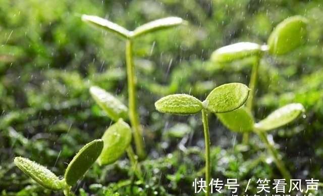 牛人|很像“及时雨”的4生肖，言出必行，心胸广，雪中送炭，很靠谱