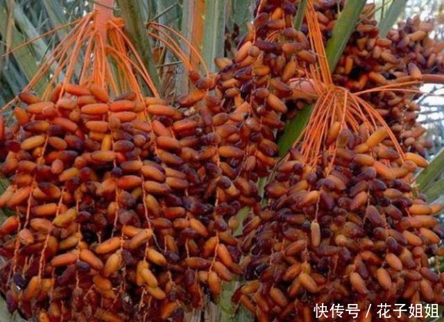 一旦男性超过45岁,建议多吃这些食物,营养比牛羊肉好