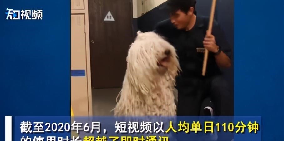 真的|会员费真的涨了!1亿中国人都在给爱奇艺打钱,为什么爱奇艺还是不满足