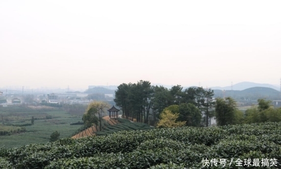 乾坤一盏茶,百味共杂陈 ——读王旭烽《茶人三部曲》