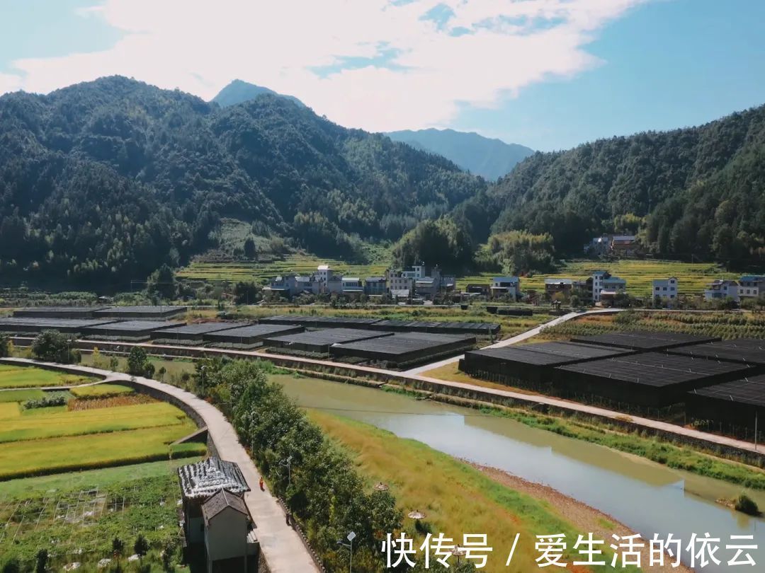 田头村|庆元村落庆元周边的神仙古村，周末隐居刚刚好！