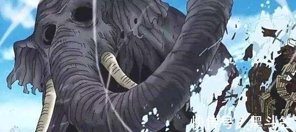 动物|海贼王:实力强大的四只动物,一只能硬刚四皇,一只四皇打不过!