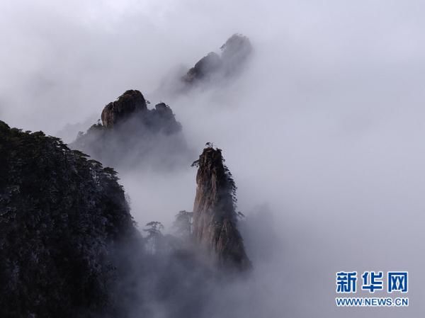 玉树琼枝|冬日黄山 玉树琼枝云海如画