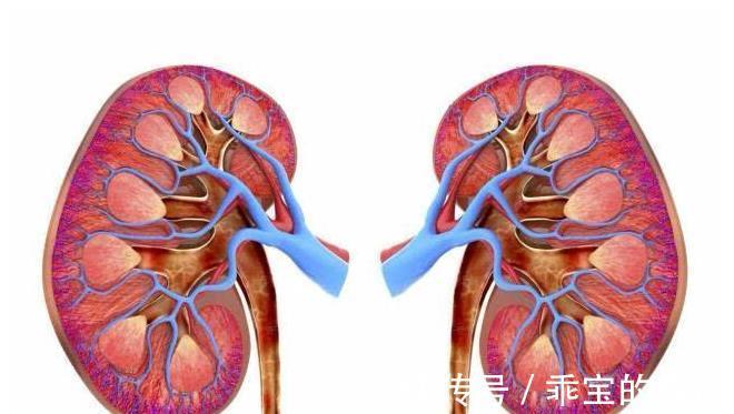 肾脏健康|肾脏出现了问题，脚会有这3个症状！一个没中的话，就恭喜你了！