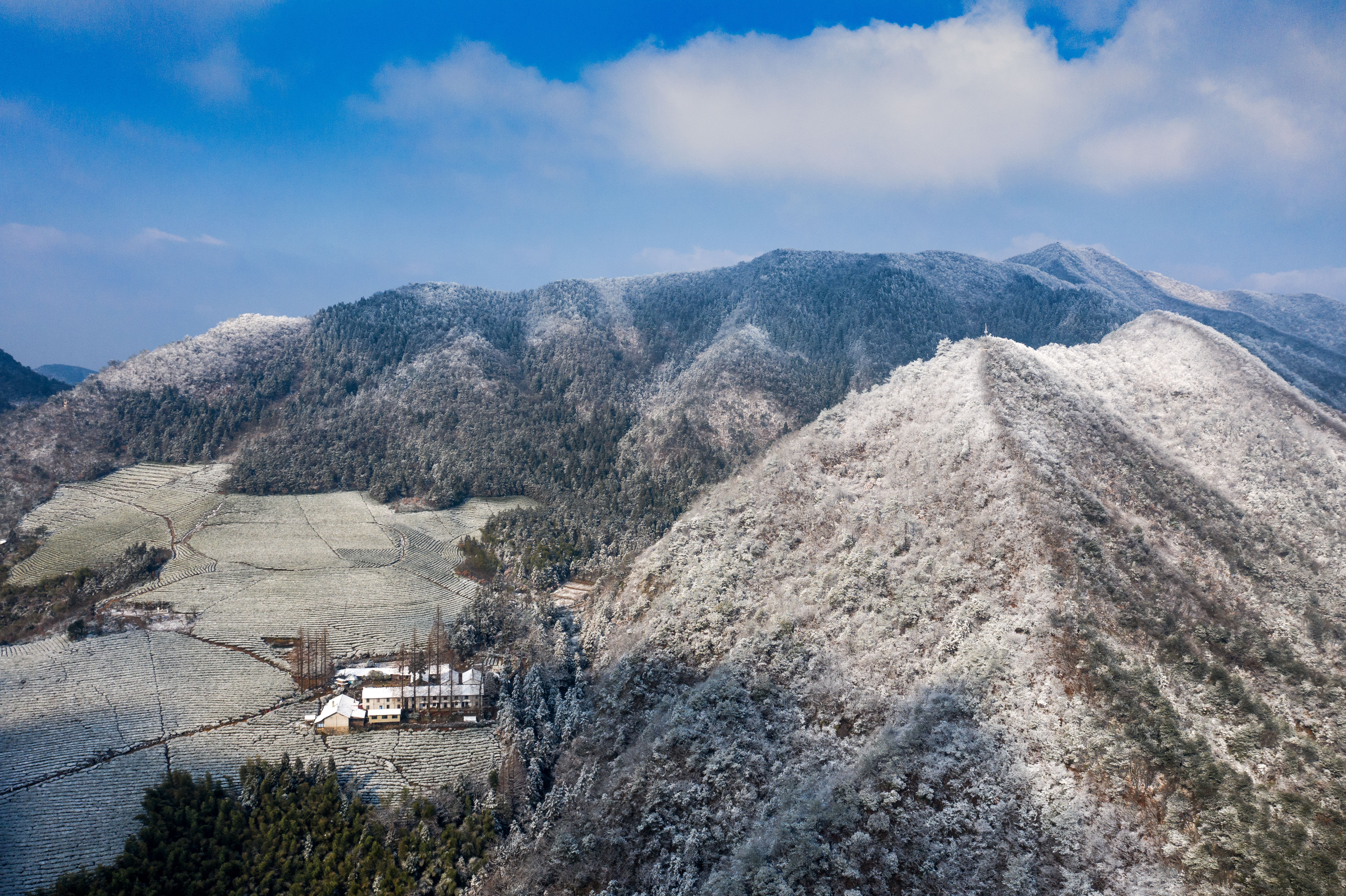 雾凇|冰花弥漫 上下一白 永康大寒山雪后雾凇惊艳