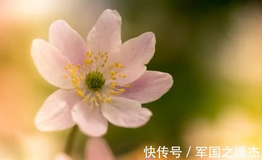 生肖|7月底，芸芸众生，寻觅你，追求你，3生肖迈过荆棘路，重逢情人时