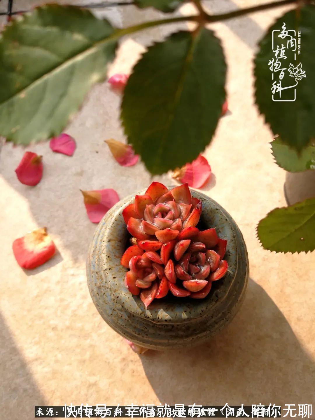 爱这一片缤纷的色彩,因为我们都是好色之徒!