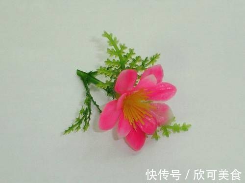 欧洲|没人给李嘉诚做担保,欧洲批发商:真诚和信用是最好的担保