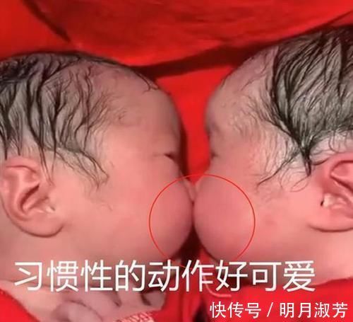 护士|龙凤胎出生才20分钟，妹妹就“夺走”哥哥的初吻，护士好有爱