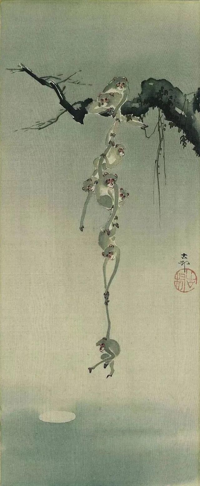 日本绘画大师的花鸟画，淡雅清新
