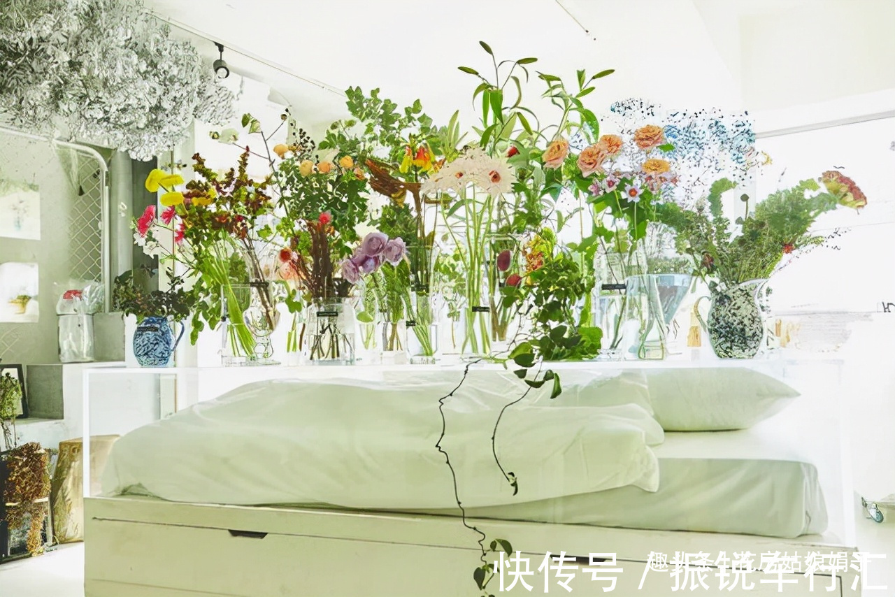 氧气|这几类花卉,再喜欢也不要搬进卧室,养不好不说,对健康还有影响