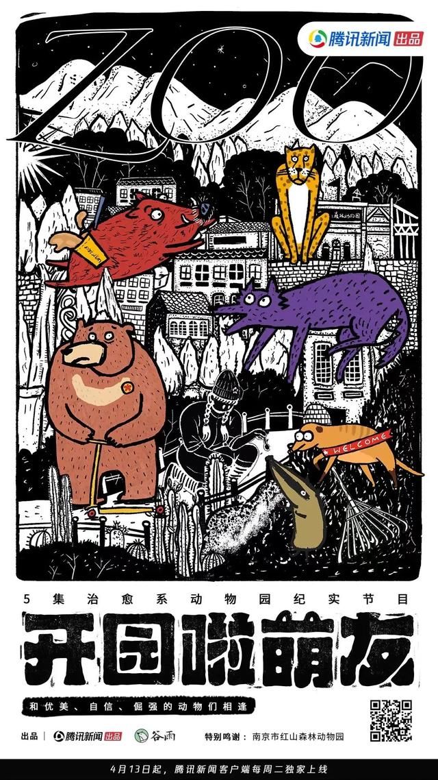 二季度综艺市场渐暖，《向往的生活》等节目官宣定档
