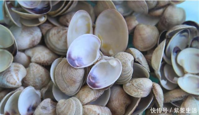 软坚|一味不被人熟知的良药,“除一身之湿消水肿,软内外硬结散瘿瘤”