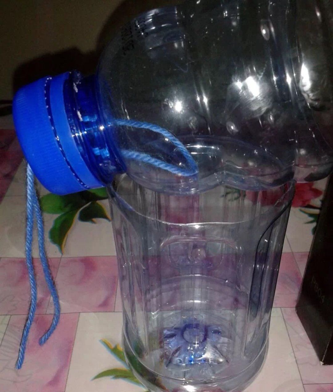 塑料瓶|旧筷子、老干妈瓶别扔,拿来养花效果好,省下一笔养花钱