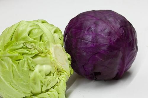 养胃|胃不好的人，平时可常吃哪些食物？天然的