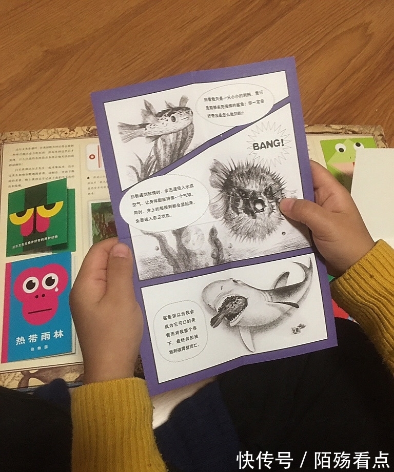 达尔文&让孩子跟达尔文一起环球旅行,感受丰富旅途,挖掘思考的力量