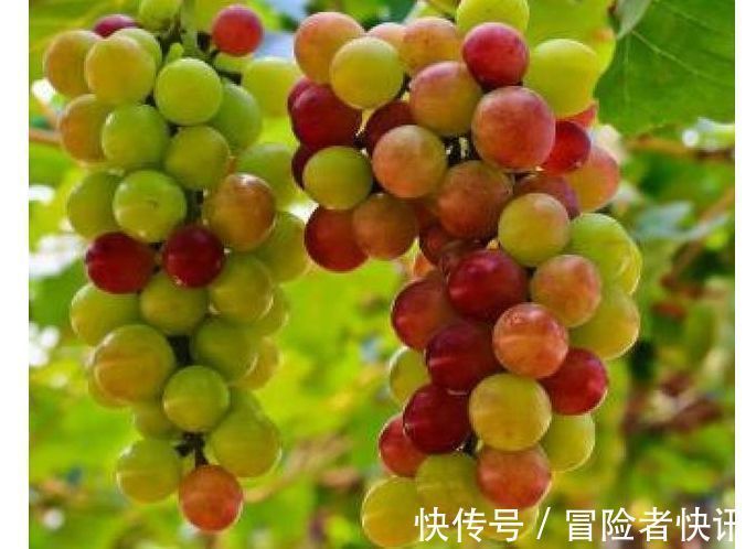 红肉|女性担心老太快,推荐多吃3种食物,补充营养,身体棒棒哒!