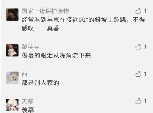 免费|高校养羊请学生免费吃！网友：羡慕的眼泪从嘴角流下……