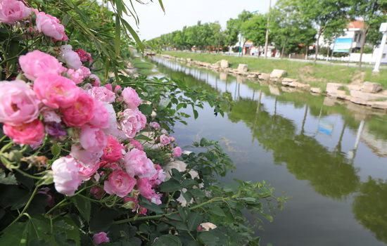 河道|美丽河湖建设显成效