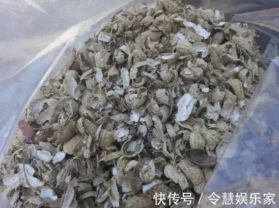 这2种“壳”丢了太可惜,埋花土里3年不板结,种什么花都旺!