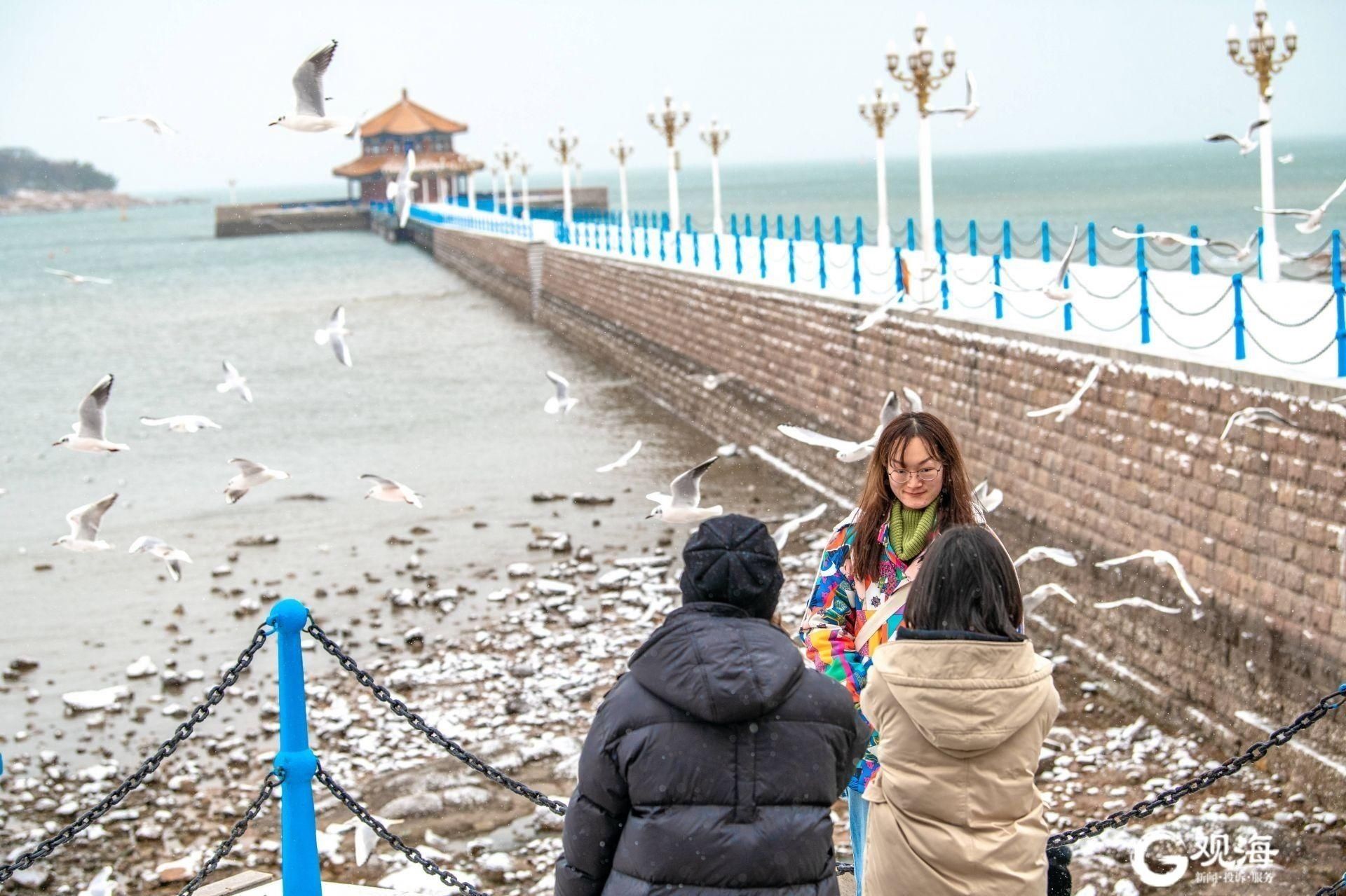 栈桥，海鸥和雪景更配！