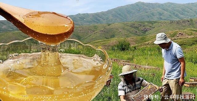 芝麻糊加蜂蜜好吗芝麻糊加蜂蜜有什么效果