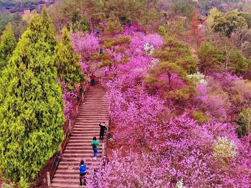 天台赤城山红了! 你还不知道吗?