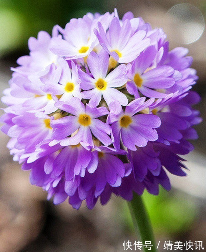 春光灿烂$很有意境的句子,生活是个万花筒,酸甜苦辣尽藏其中