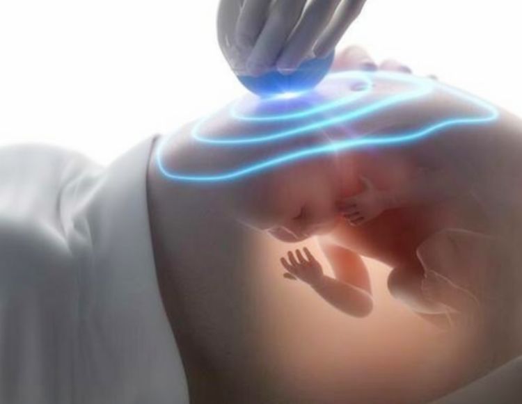 分寸|做四维时,医生使劲按压肚子对宝宝有没有伤害?医生:我自有分寸