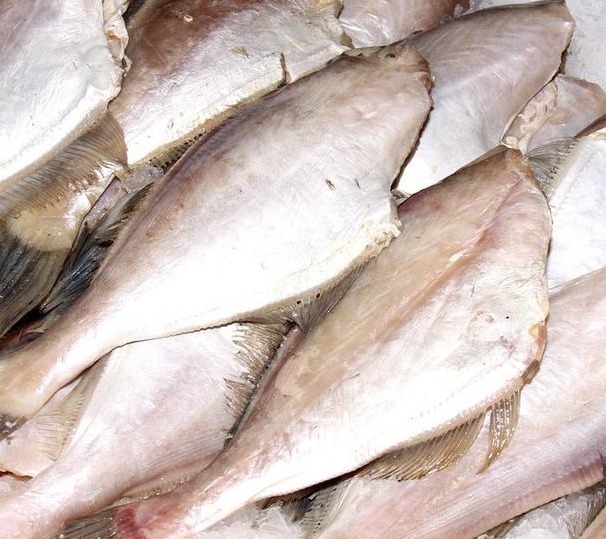 这种鱼“没脸没皮”，价格低廉，很多人看不上，懂行的人经常买